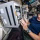 ESA astronaut Luca Parmitano installing the BioRock experiment on the ISS.